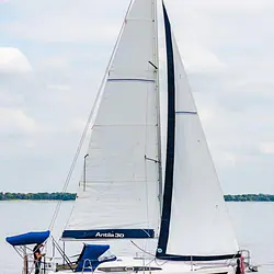Antila 30