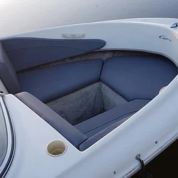 Bayliner Capri