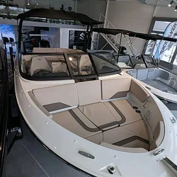 Bayliner V20