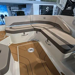 Bayliner V20