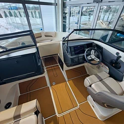 Bayliner V20