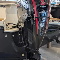 Bayliner V20