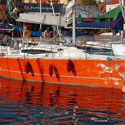Cobra 33