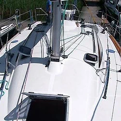 Cobra 33