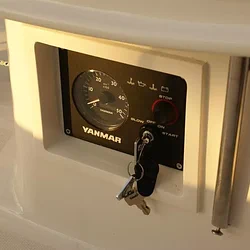 Cobra 33