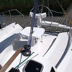 Cobra 33