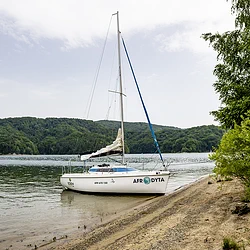 Corveette 650