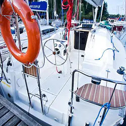 Delphia 33 MC