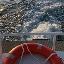 Discovery 45