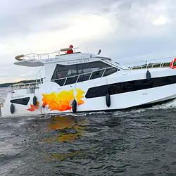 Discovery 45