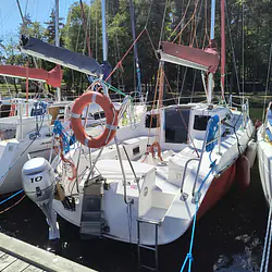 Fortuna 29 RT