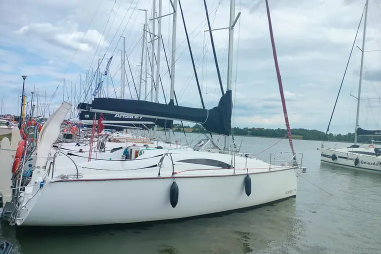 Czarter Hornet 29
