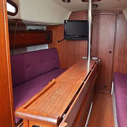 Hornet 29