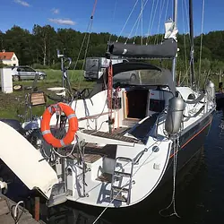 Hornet 29