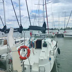 Hornet 29