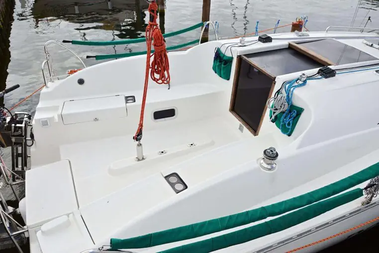Czarter Hornet 29