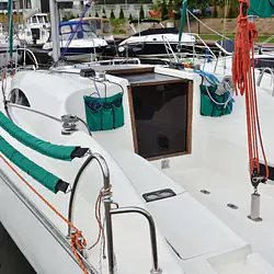 Hornet 29