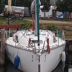 Hornet 29