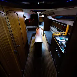 Hornet 29