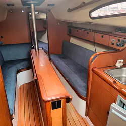 Hornet 29