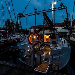 Hornet 29
