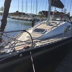 Hornet 29