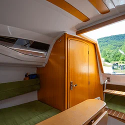 Maxus 22