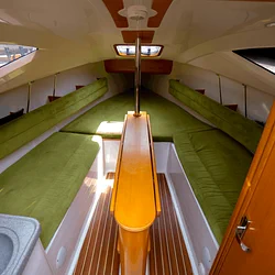 Maxus 22