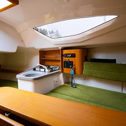 Maxus 22