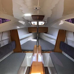 Maxus 24