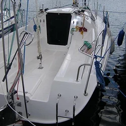 Maxus 24