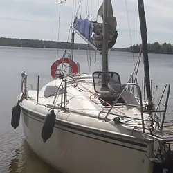 Maxus 24