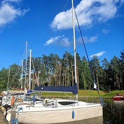 Maxus 28