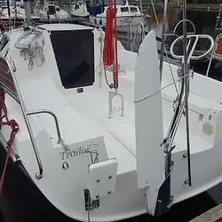 Maxus 28