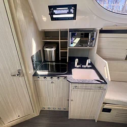 Maxus 33.1 RS