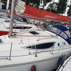 Maxus 33