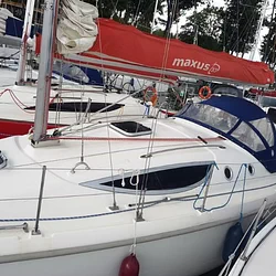 Maxus 33