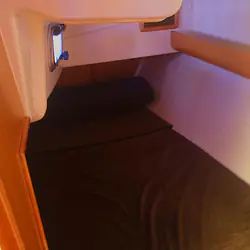 Maxus 33