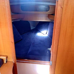Maxus 33