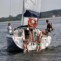 Maxus 33