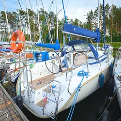 Maxus 33