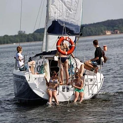 Maxus 33