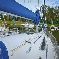 Maxus 33