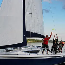 Maxus 33