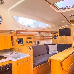 Maxus 33