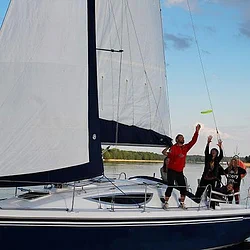 Maxus 33
