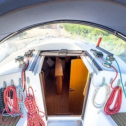 Maxus 33
