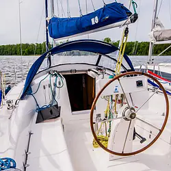 Maxus 33