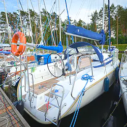 Maxus 33