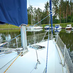 Maxus 33